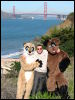 [20040121 Junkvist GGBridge 13]