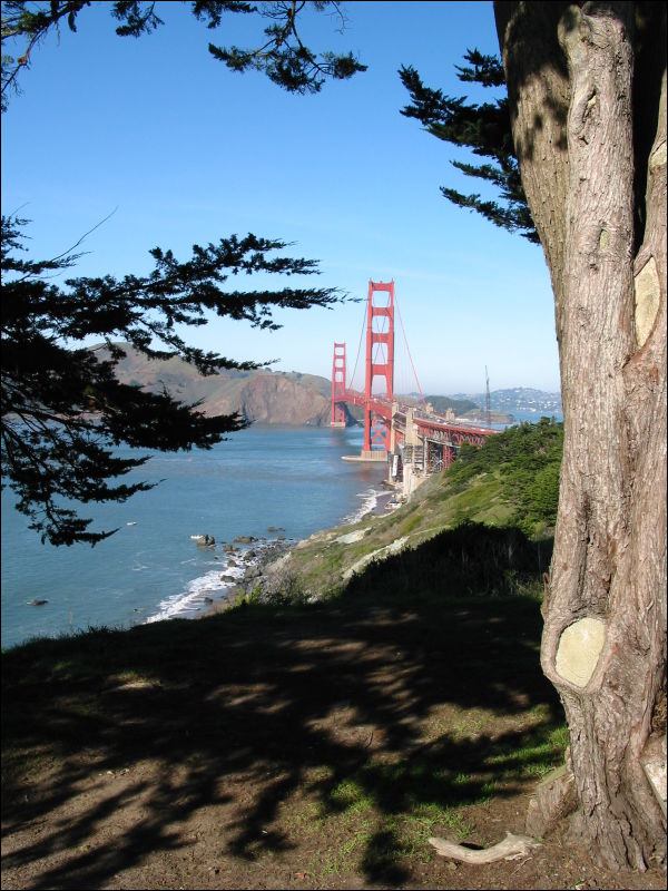 [20040121_Junkvist_GGBridge_14.jpg]