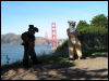 [20040121 Junkvist GGBridge 20]