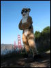 [20040121 Junkvist GGBridge 22]