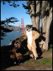 [20040121 Junkvist GGBridge 48]