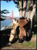 [20040121 Junkvist GGBridge 52]