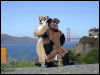 [20040121 Tim GGBridge 15]